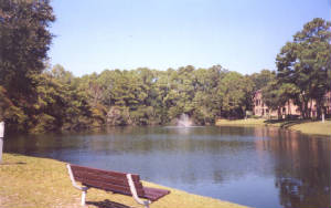 hilton head condo - catch & release fishing lagoon